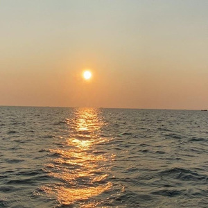 人与马性交免费观看
